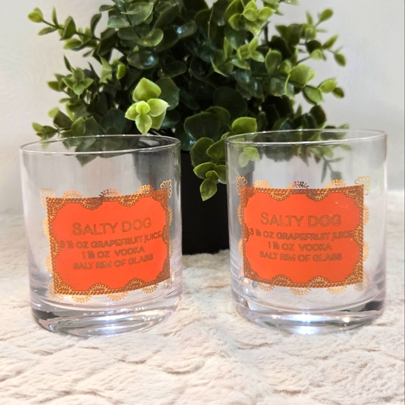 Floor 9 Salty Dog Rocks Drinking Glasses, Set of 2 - Picture 1 of 5